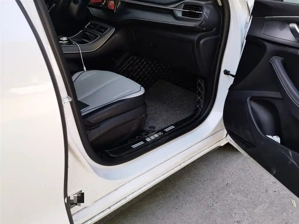 BYD Destroyer 05 2024 Glory Edition DM-i 55KM Luxury фото 21