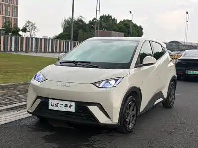 BYD Seagull