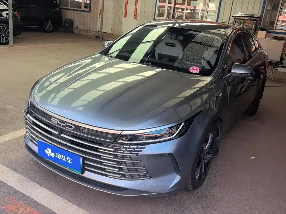 BYD Destroyer 05 2024