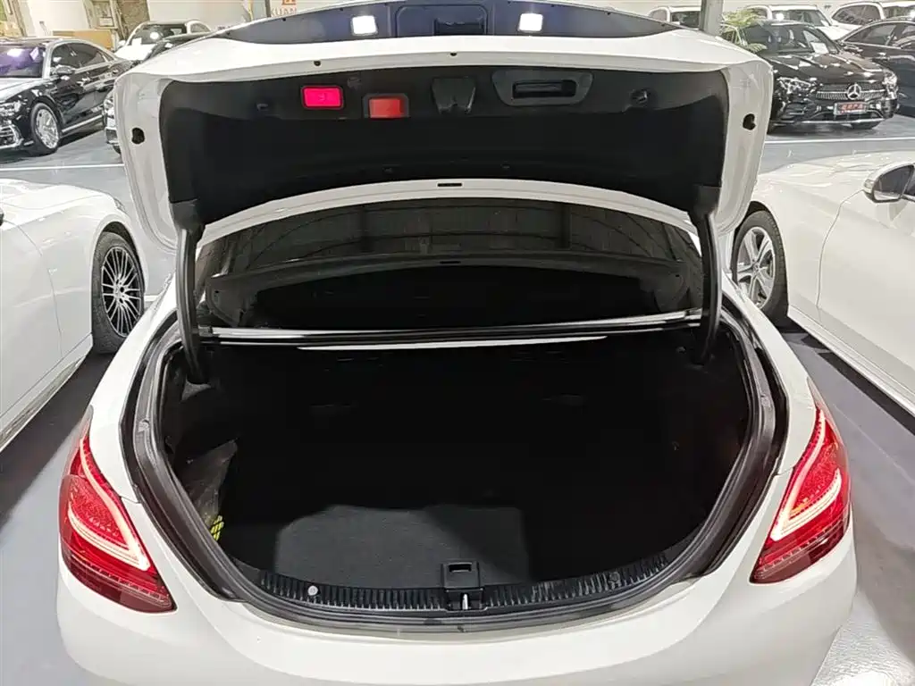 Mercedes-Benz C-Class 2021 C 260 L Sport Starry Exclusive Edition фото 19