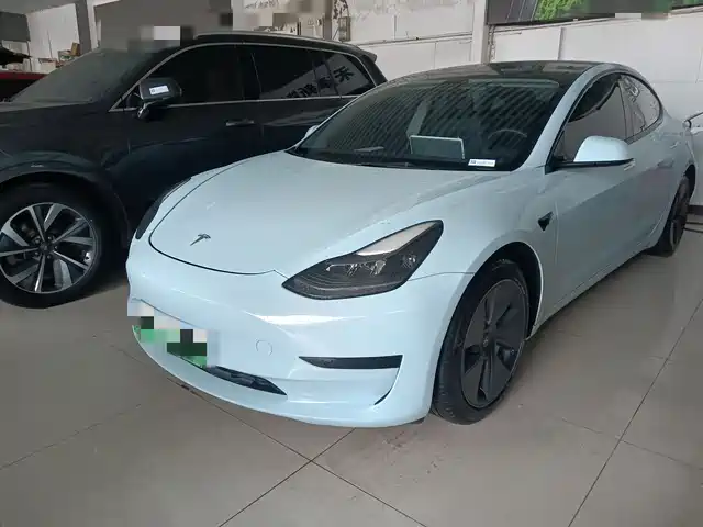 Tesla Model 3 Стандартный запас хода, задний привод, улучшенная, 3D6