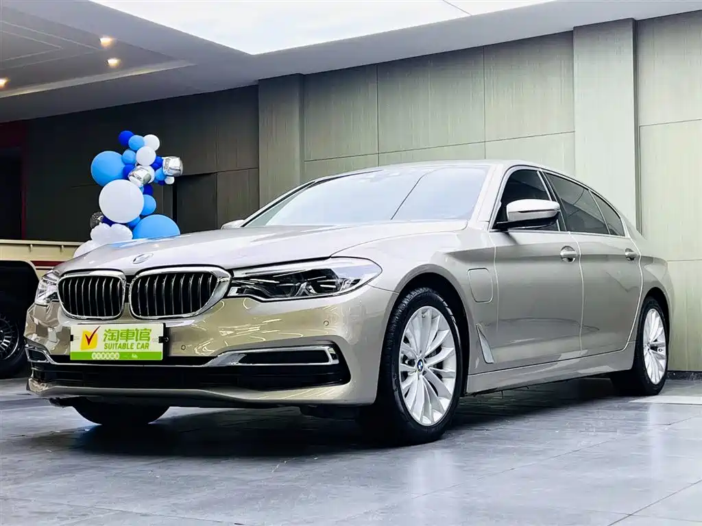 BMW 5 Series New Energy 2020 530Le Range Upgrade Luxury Package