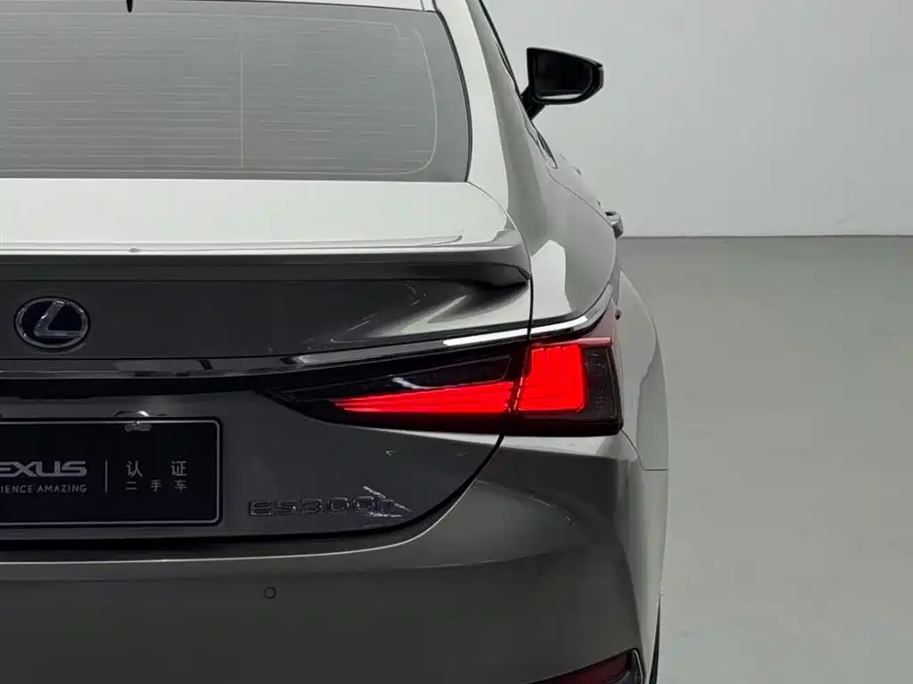 Lexus ES 2020 Model 300h Executive Edition China V фото 14