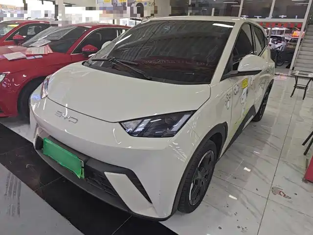  BYD Seagull 2023 Flying Edition