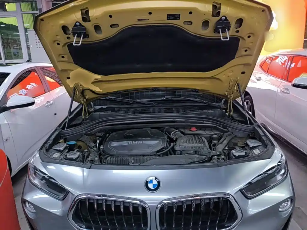 BMW X2 (Import) 2019 2018 sDrive25i Leading M Off-road Package China V