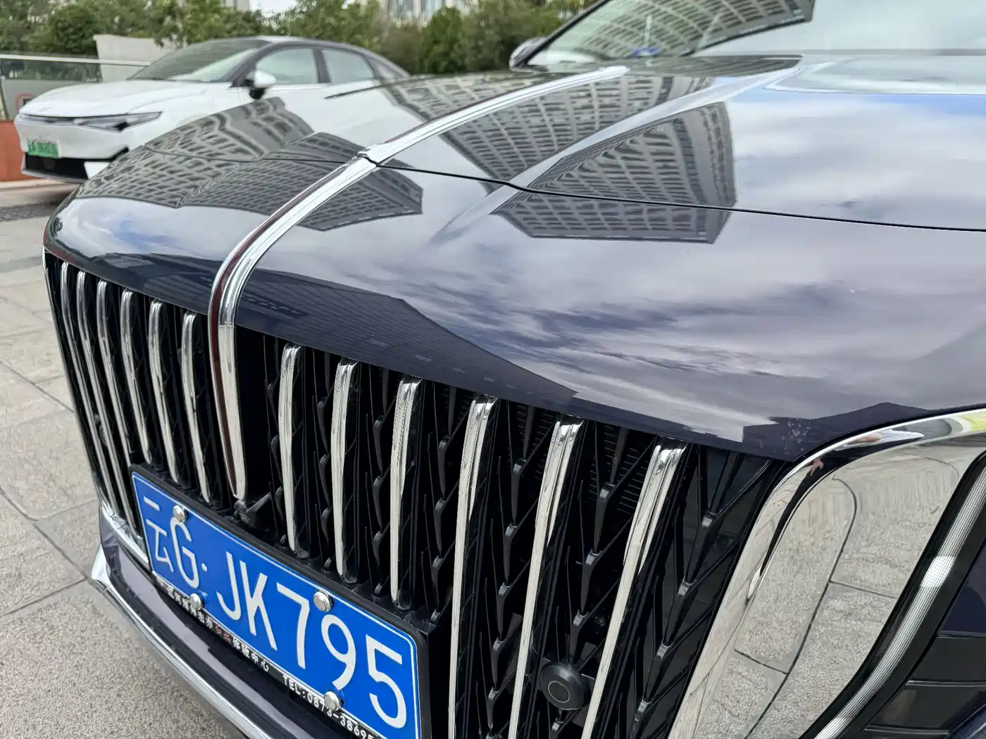 Hongqi H5 2024 2.0T Automatic Smart Connect Flag Leader Edition фото 26