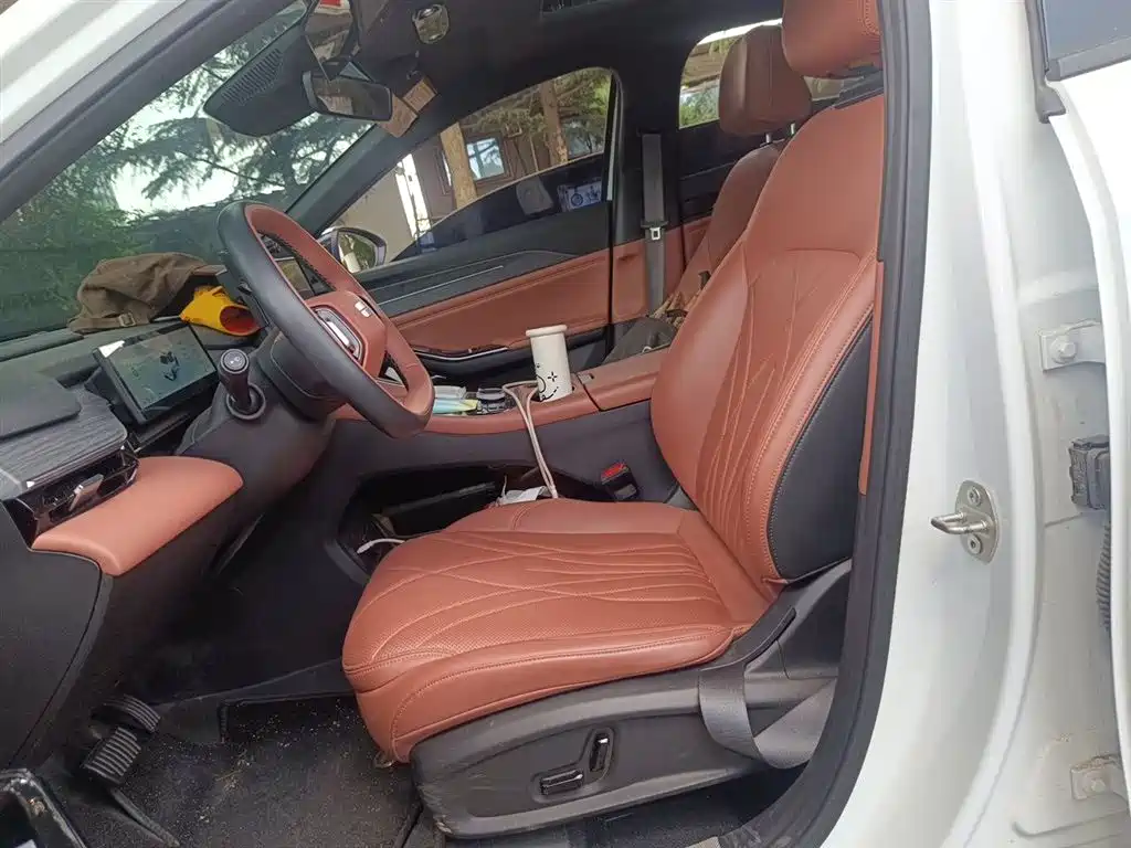 Geely Galaxy Galaxy L6 2025 EM-i 140km Explorer+ Edition фото 16