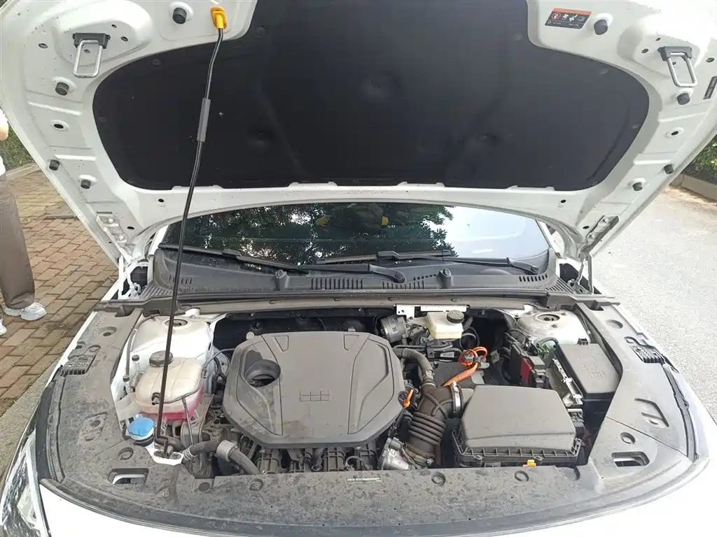 Geely Galaxy Galaxy L6 2025 EM-i 140km Explorer+ Edition фото 21