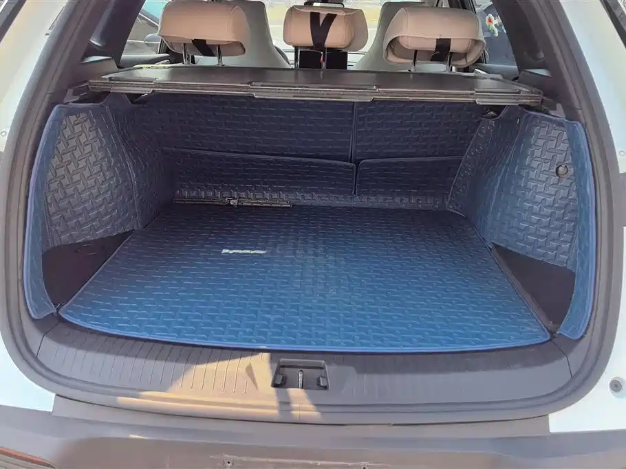 BYD SONGJIANG NEW ENERGY