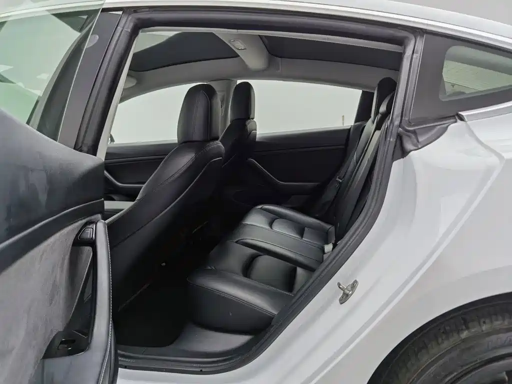 Tesla Model 3 2020 2019 Standard Range Rear-Wheel Drive Upgrade
