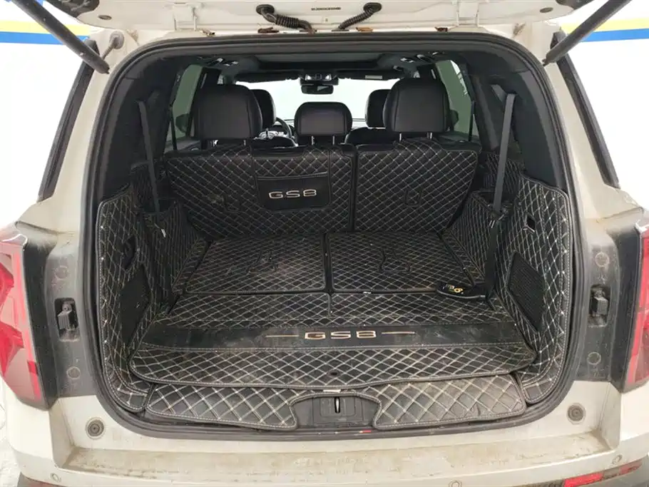 GAC Trumpchi Trumpchi GS8 2022 Pilot Series 2.0TGDI 2WD Premium Edition (7-Seater) фото 4