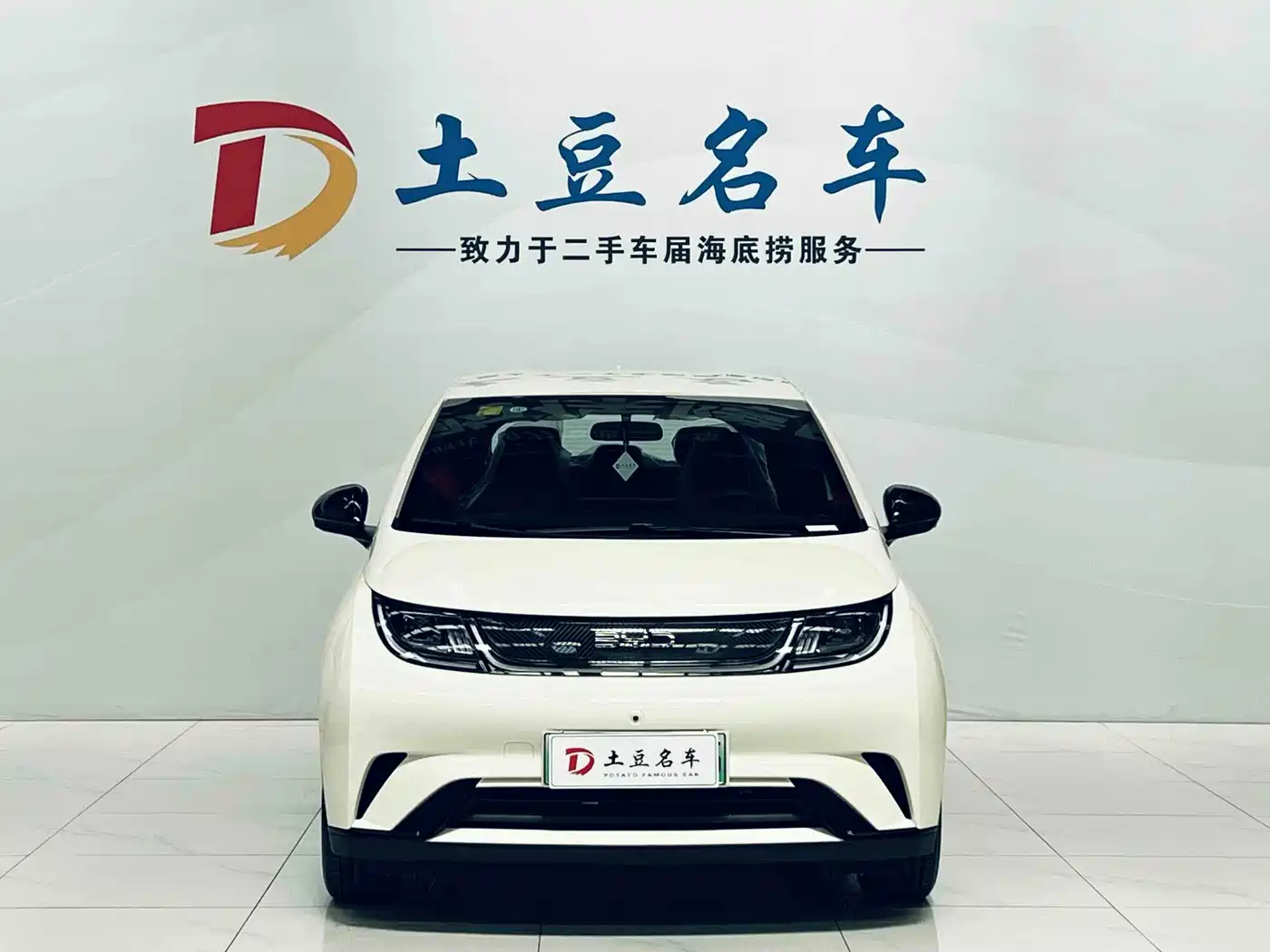 2026 BYD Dolphin