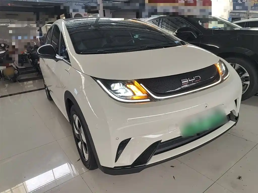 BYD Dolphin 2024 Glory Edition 420km Fashion Edition фото 4