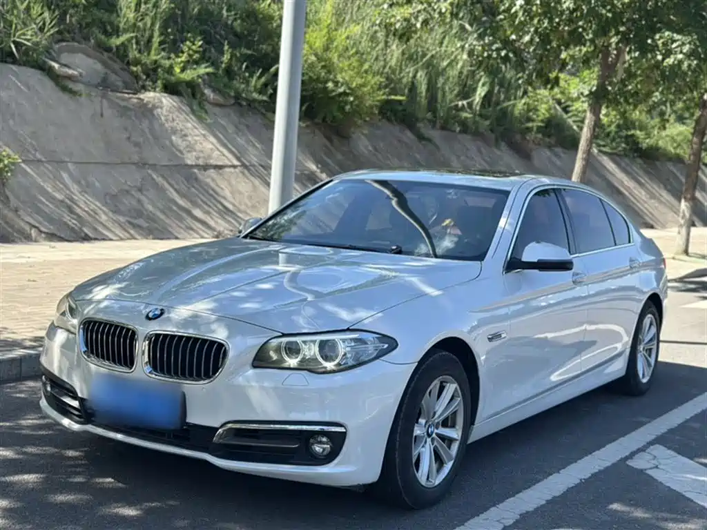 BMW 5 Series 2014 520Li Elegance фото 2