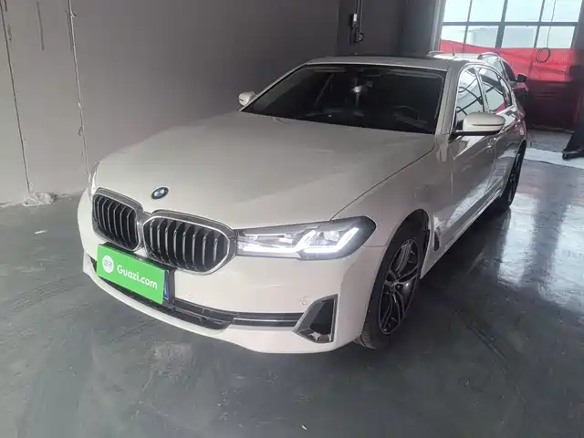 BMW 5 2-й рестайлинг, 530Li, Лидер, Люкс-пакет