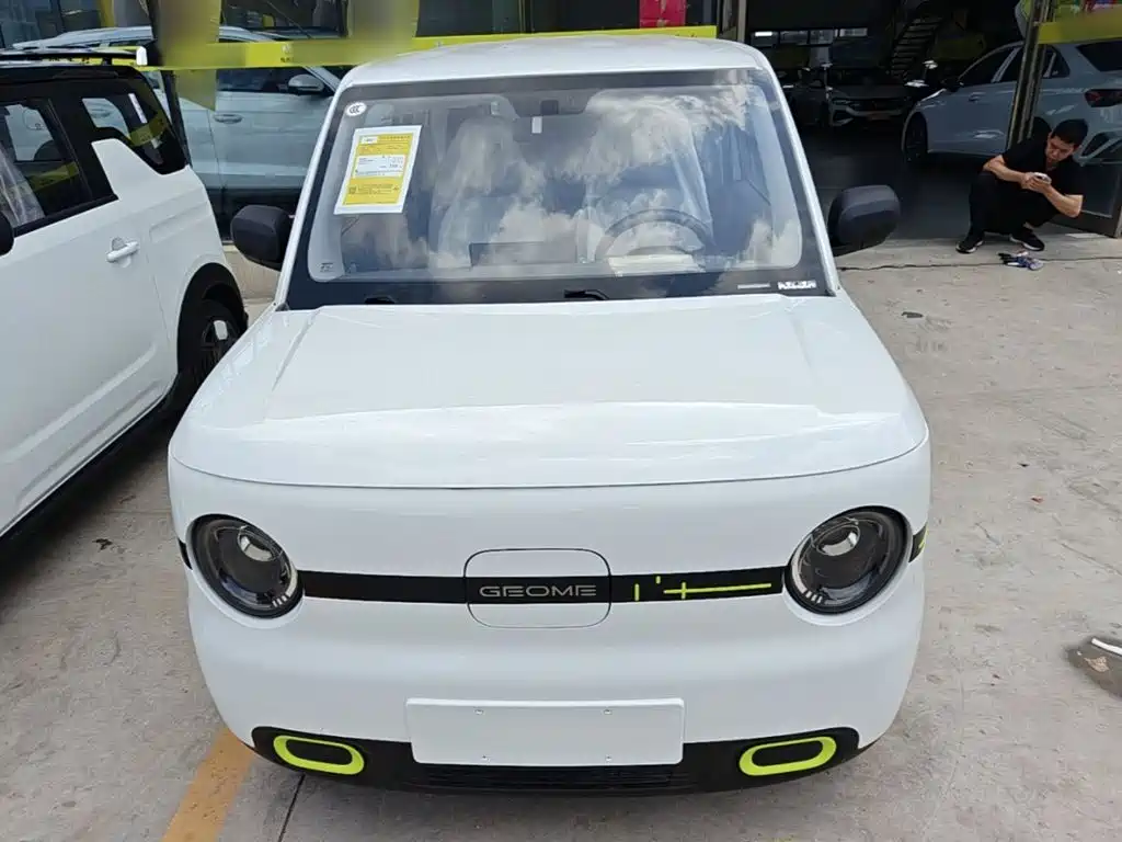 Geely Galaxy Panda 2026 2025 Panda mini 210km Vitality Bear