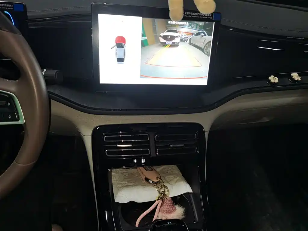 BYD Qin PLUS 2023 Champion Edition DM-i 55KM Leading фото 9