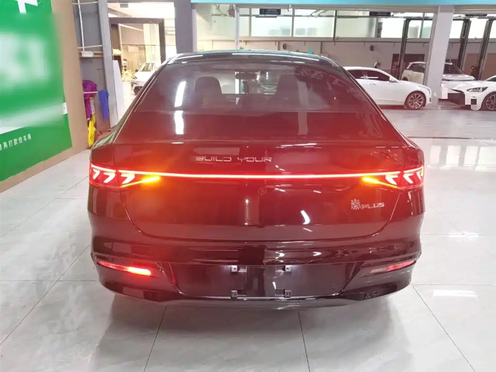 BYD Qin PLUS 2023 Champion Edition DM-i 55KM Leading фото 4