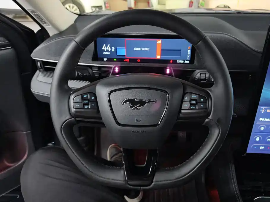Ford Mustang Mach-E 2022 2021 Boundless RWD Luxury (Long Range)
