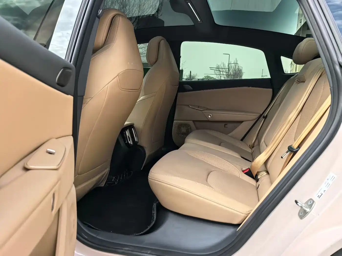 ARCFOX EXTREME FOX POLAR FOX ALPHA S5