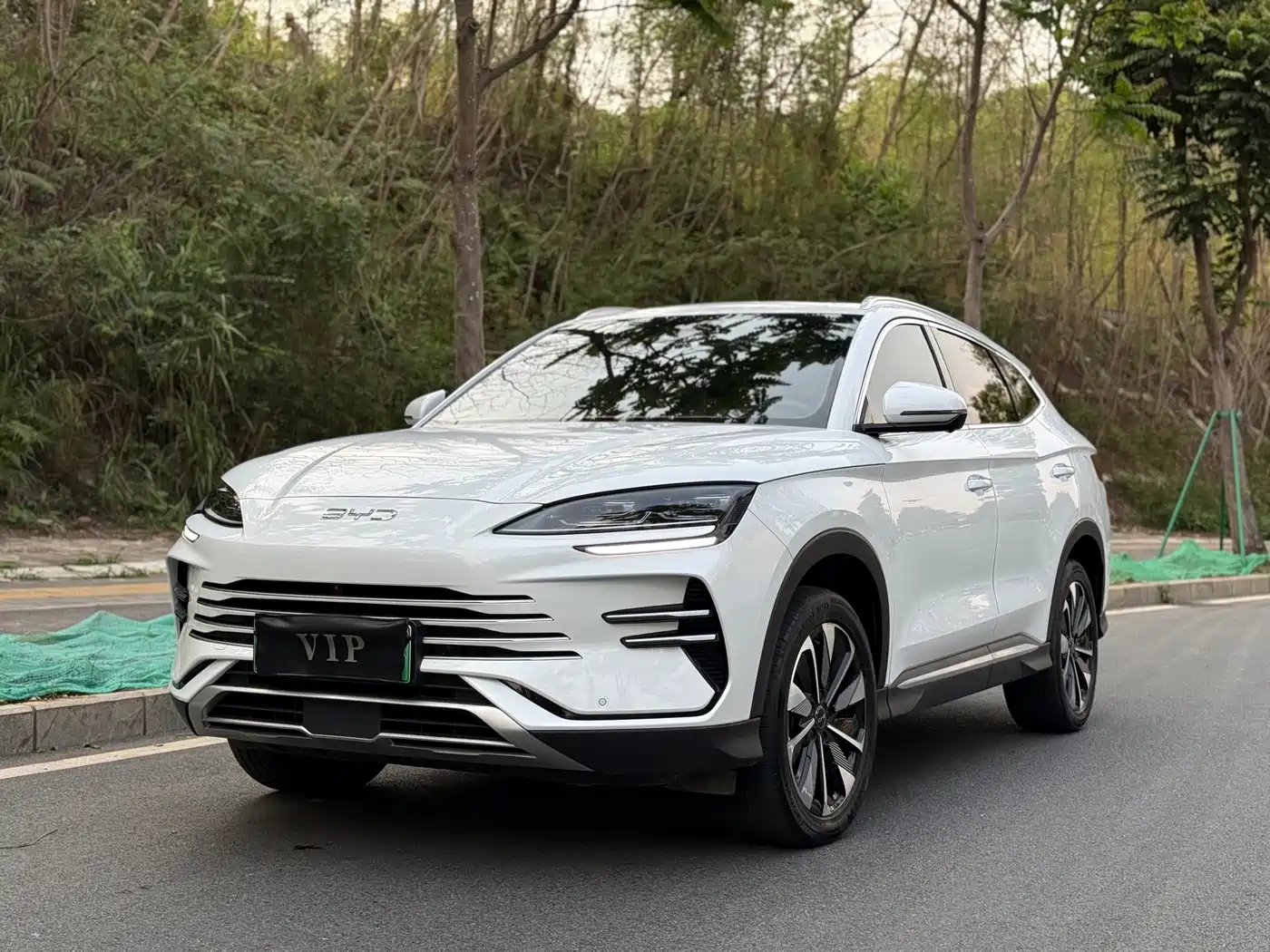 BYD SONGJIANG NEW ENERGY