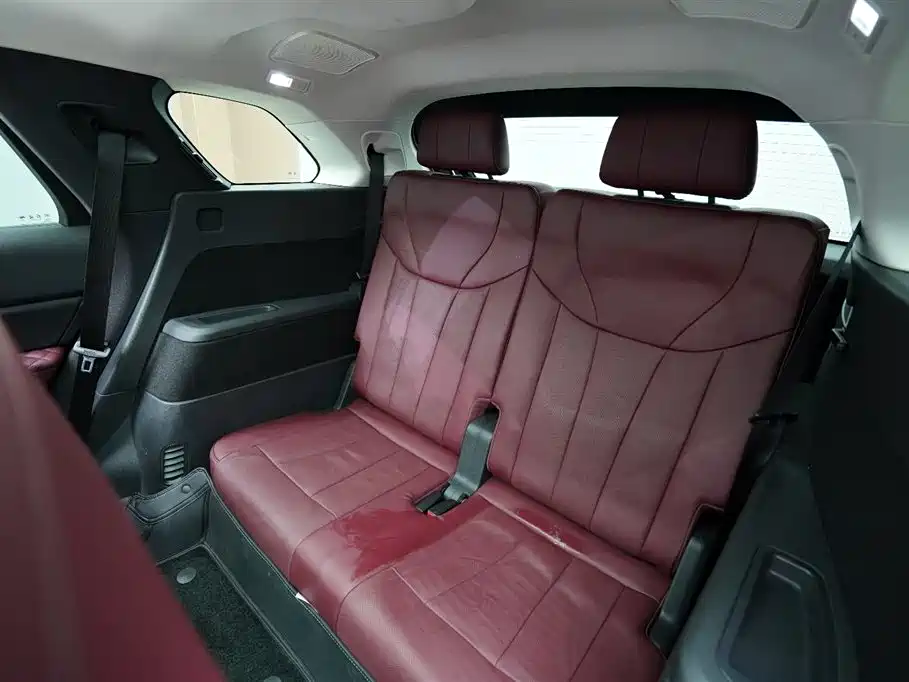 Hongqi E-HS9 2022 660km Qi Chang Edition (6-seater) фото 18