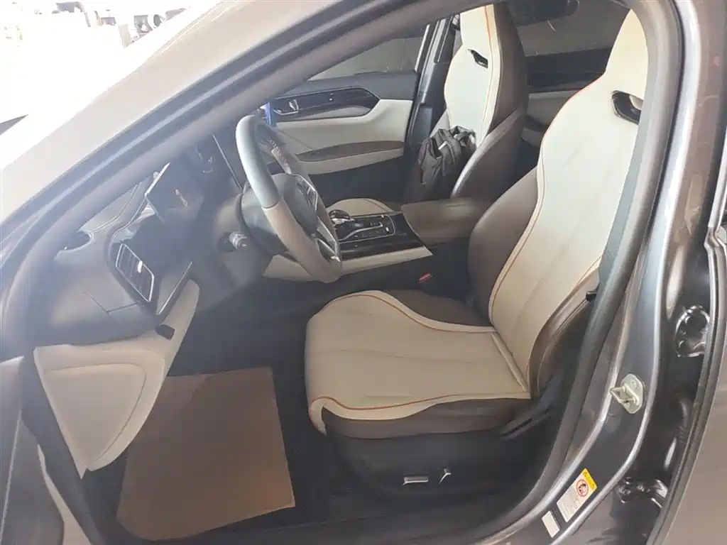 BYD Qin PLUS 2023 Champion Edition EV 510KM Advanced Type фото 15