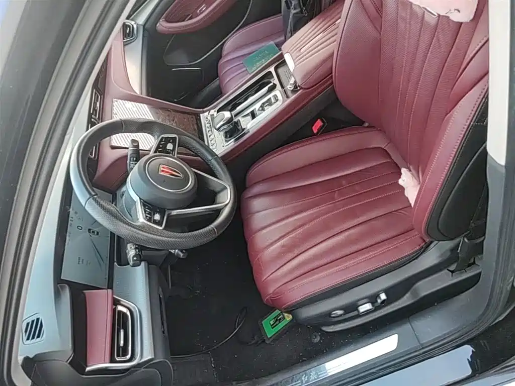 Hongqi H5 2023 2.0T Auto Smart Connect Flag Comfort фото 22