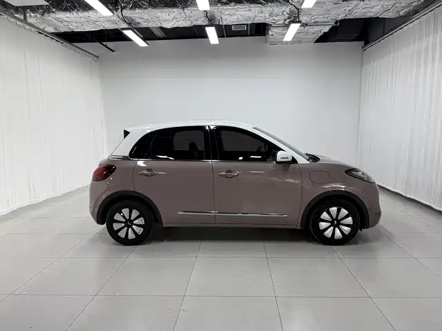 Фото 4 - Wuling Motors Wuling Bingo