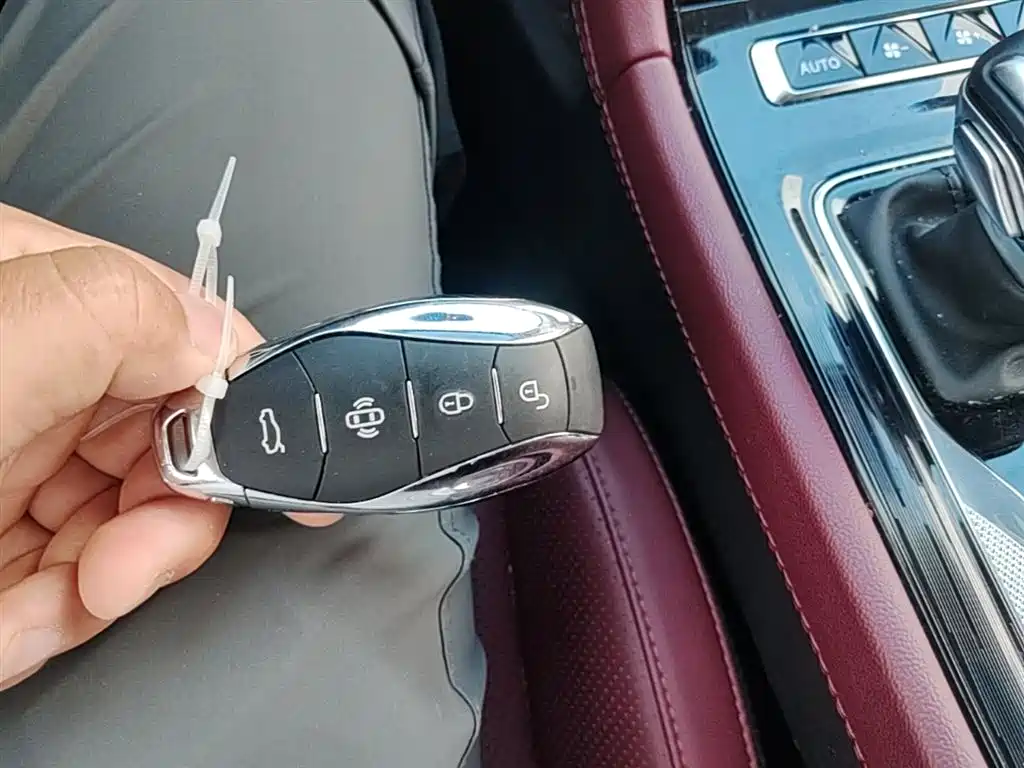Hongqi H5 2023 2.0T Auto Smart Connect Flag Comfort фото 15