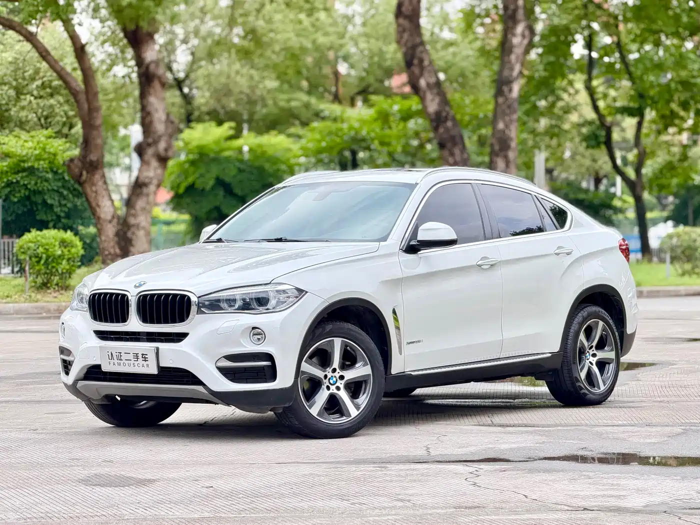 BMW X6 2015 xDrive35i Luxury Model