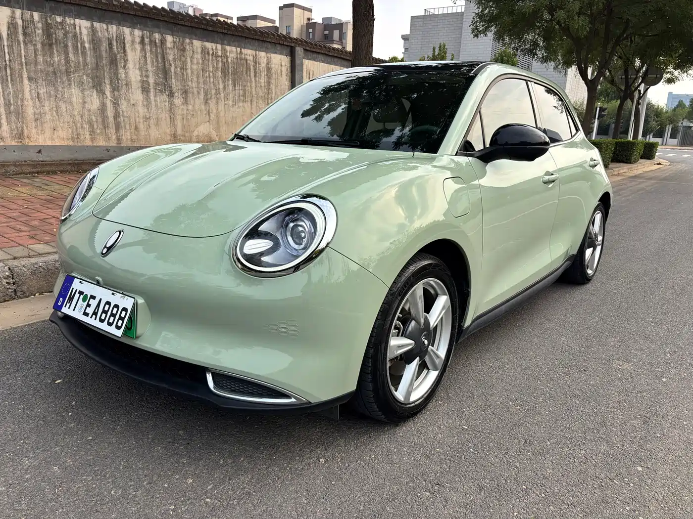 Ora Ora Good Cat 2022 Model Morandi Edition 400km Standard Range Premium NCM