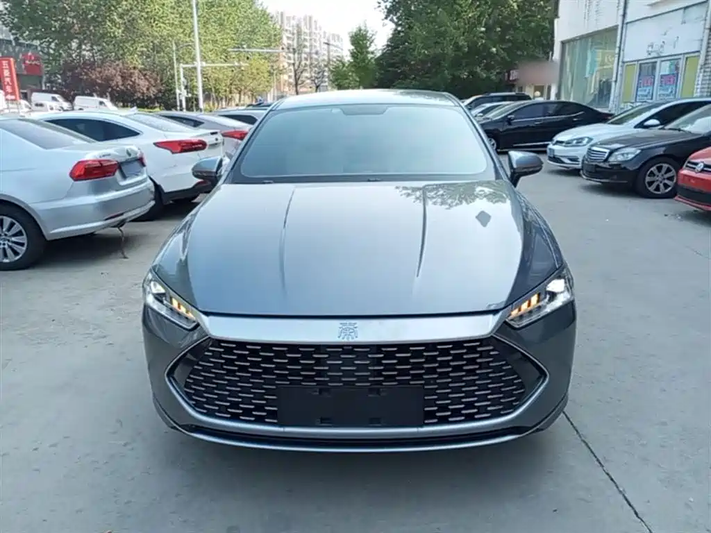 BYD Qin PLUS 2024 Glory Edition DM-i 55KM Leading фото 3