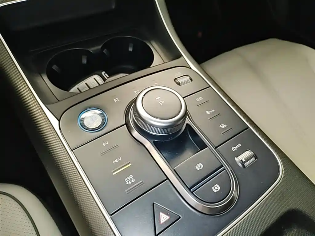 BYD Destroyer 05 2024 Glory Edition DM-i 55KM Luxury фото 14