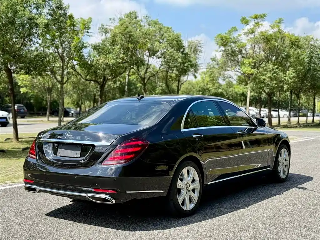 Mercedes-Benz S-Class 2018 S 450 L фото 9