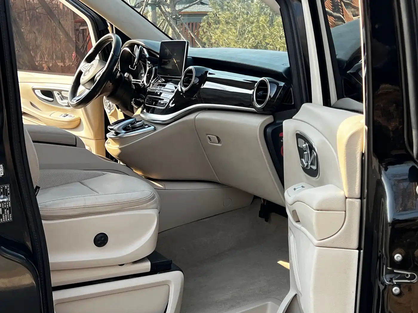 Mercedes-Benz V-Class 2018 V 260 Pilot Edition China V фото 8