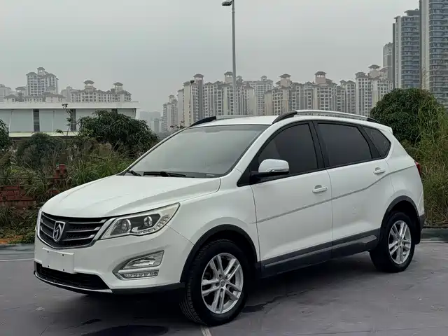 BAOJUN 560
