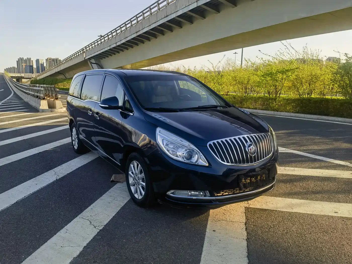 Buick GL8 2011 3.0L GT Luxury Business Elegance Edition фото 3
