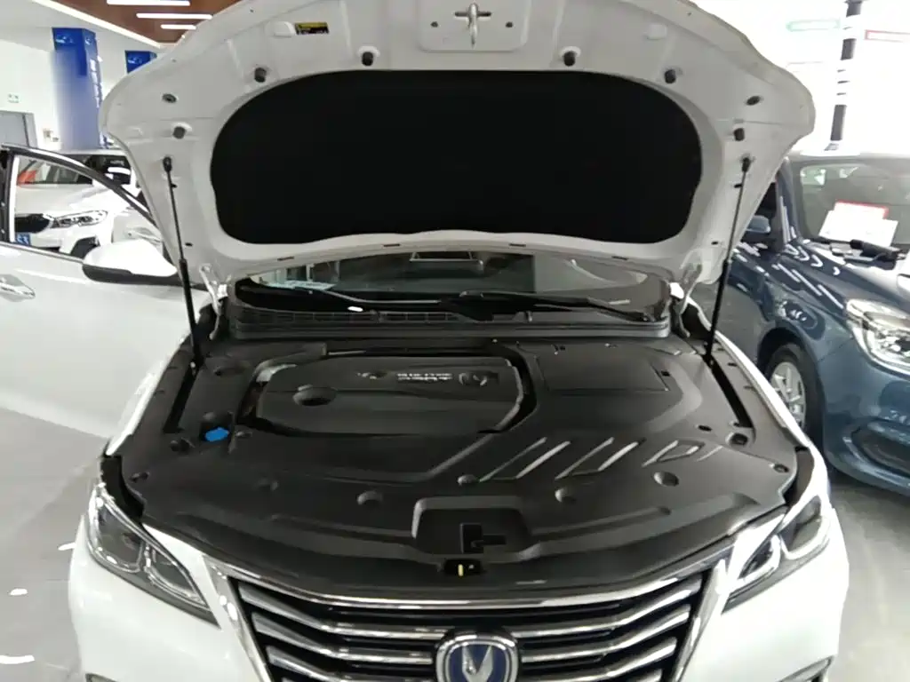Changan Raeton CC 2018 2018 1.5T Auto Smart Elegance China V