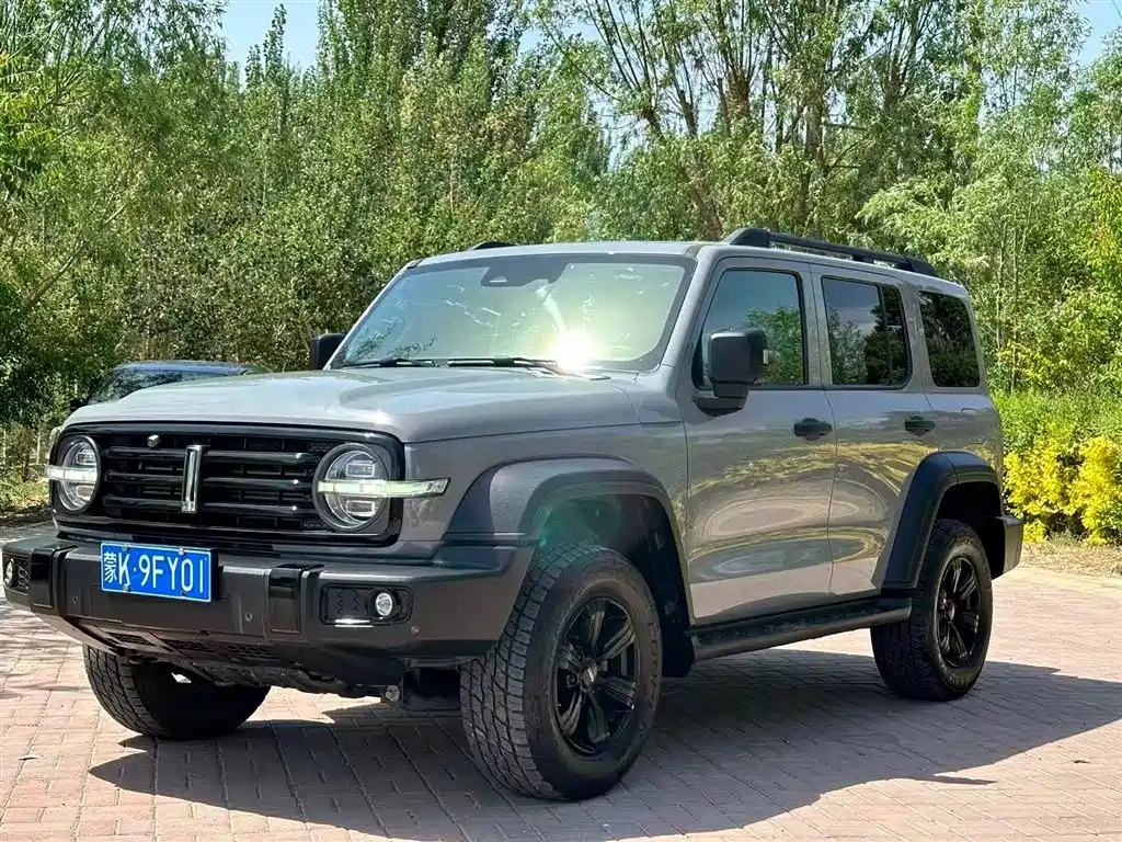Tank 300 2021 Off-road Version 2.0T Conqueror