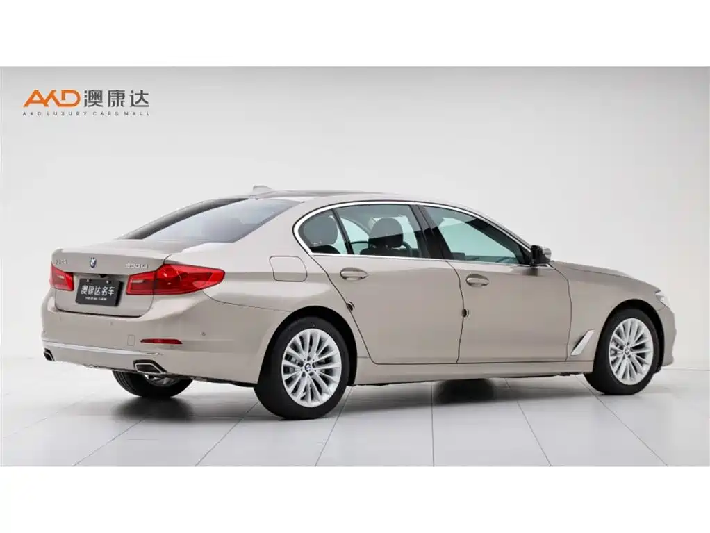 BMW 5 Series 2019 Facelift 530Li Leading Luxury Package фото 3