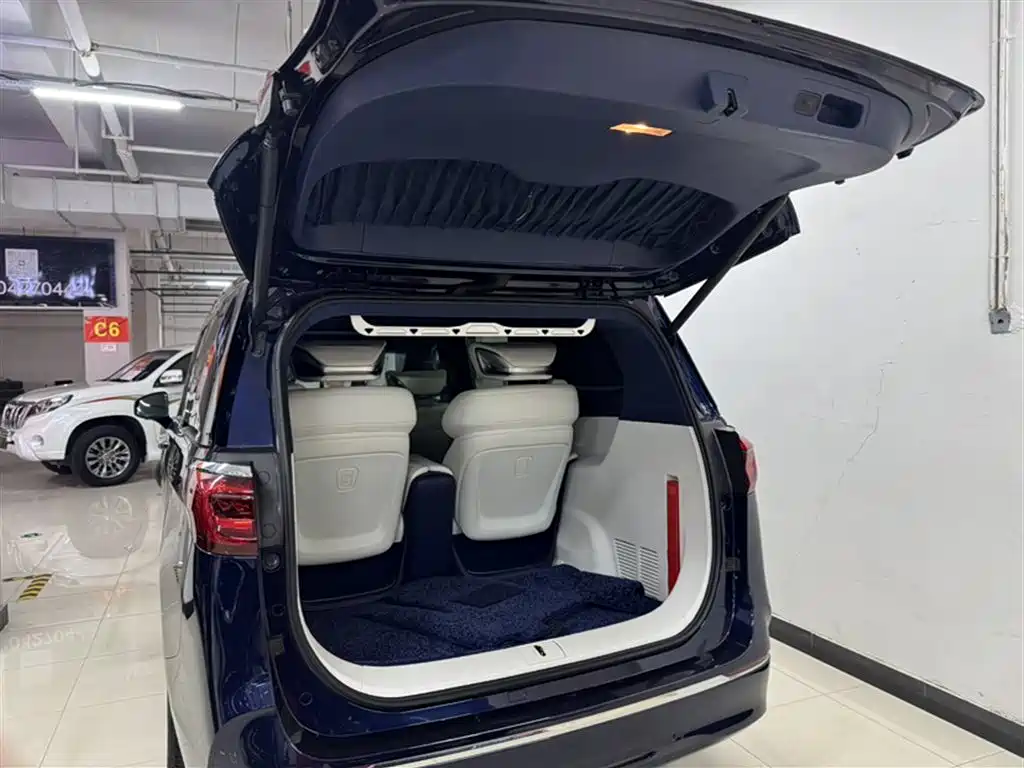 Buick GL8 2020 Avenir Four-Seat Prestige Edition фото 2