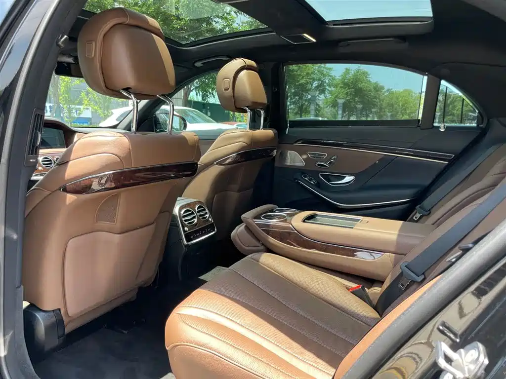 Mercedes-Benz S-Class 2020 S 350 L Premium Edition Collector's Version фото 13