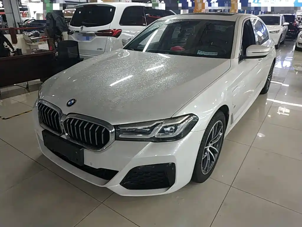 BMW 5 Series New Energy 2021 535Le M Sport Package