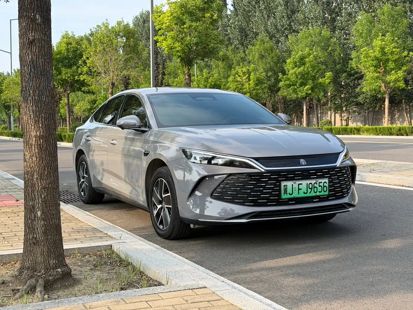 Фото 3 - BYD Qin L