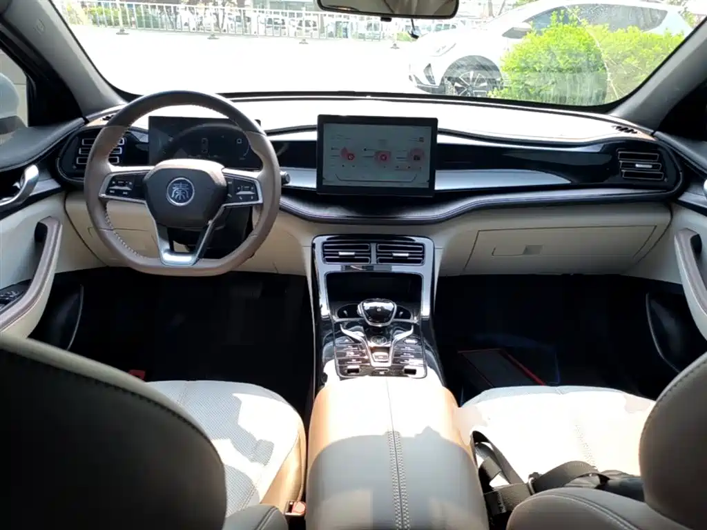 BYD Qin PLUS 2024 Glory Edition DM-i 55KM Leading фото 10