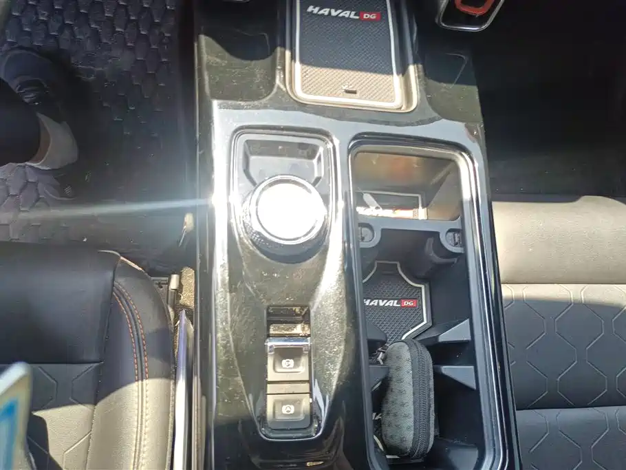 Haval Big Dog 2021 1.5T DCT 2WD Malinois Edition фото 16