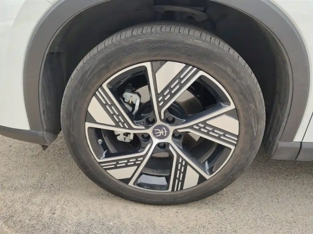 BYD Song Pro New Energy 2023 Champion Edition DM-i 110KM Excellence фото 23