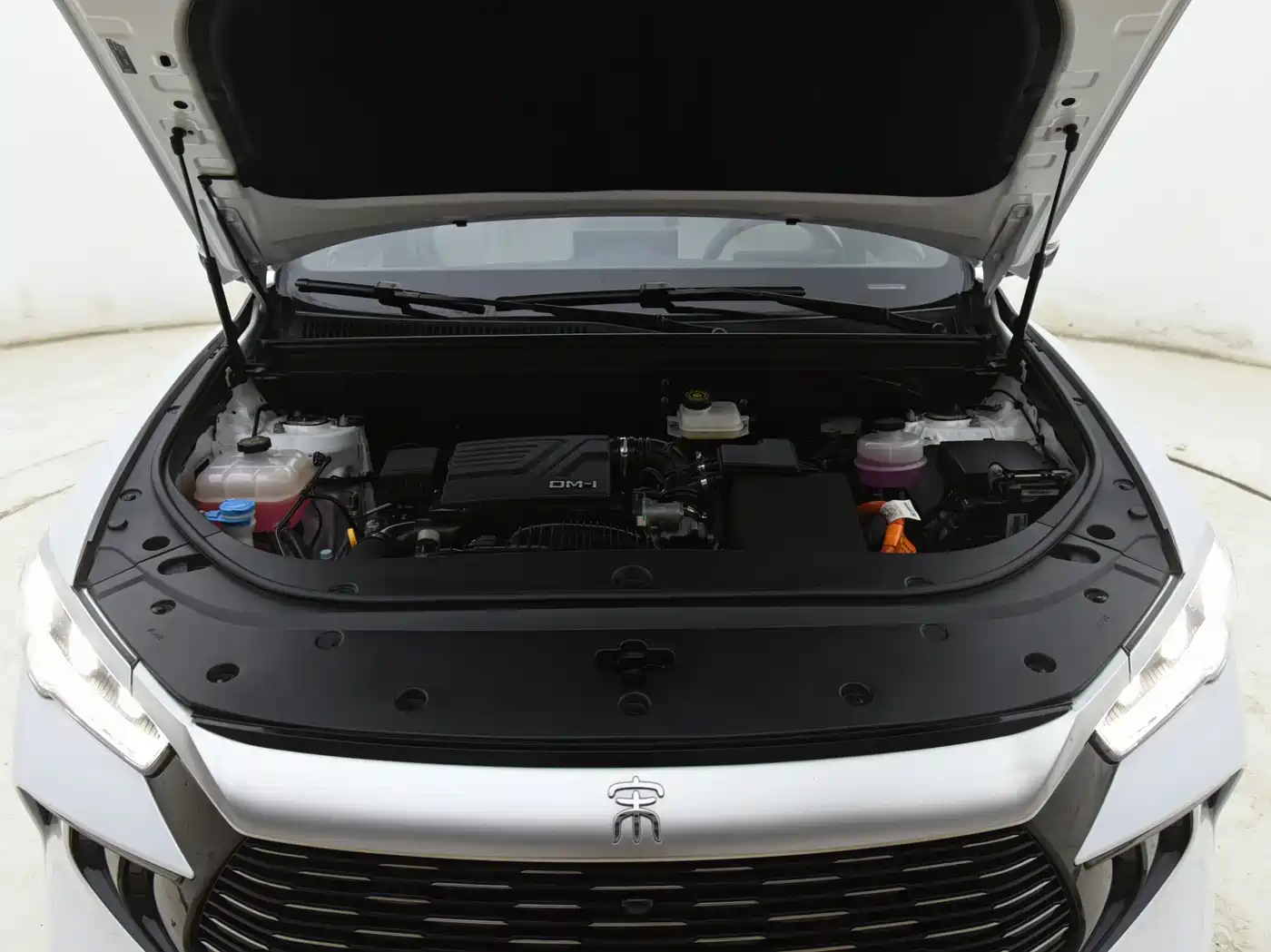 BYD Song Pro New Energy 2023 Champion Edition DM-i 71KM Leading Type фото 17