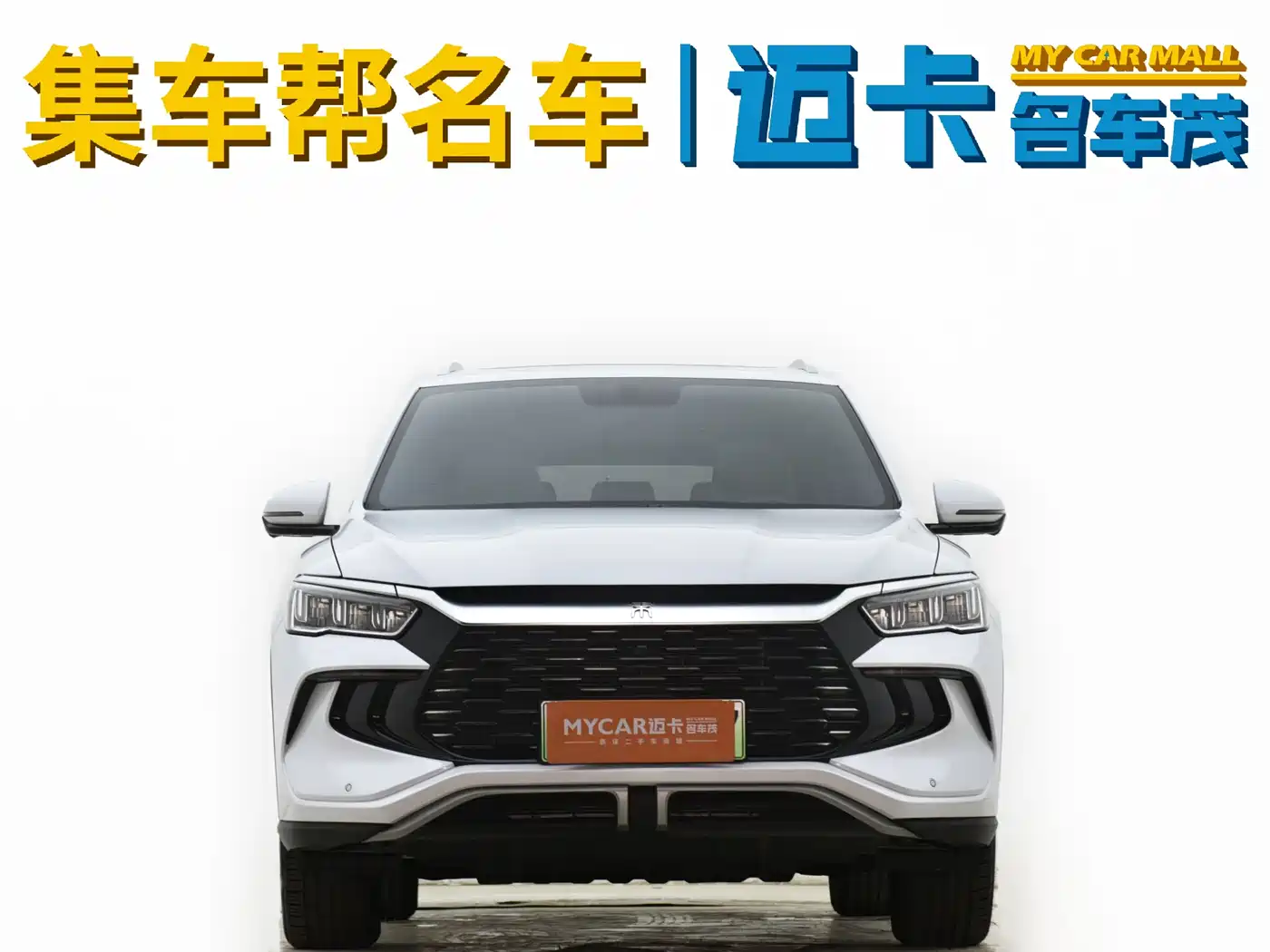 BYD Song Pro New Energy 2023 Champion Edition DM-i 71KM Leading Type фото 2